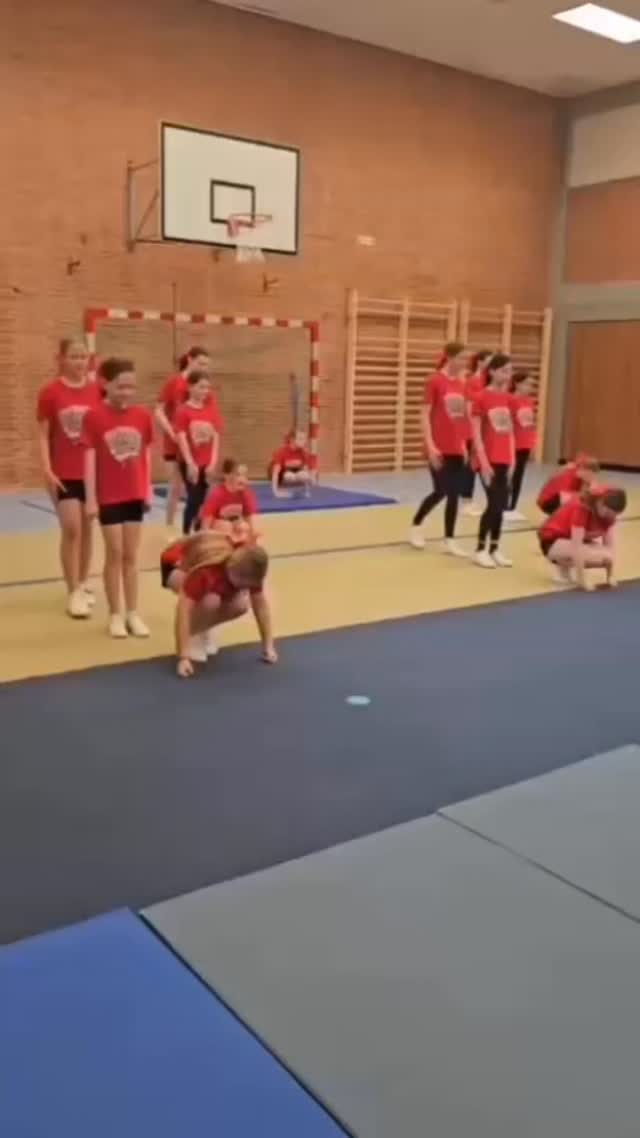Team Shine